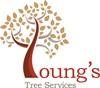 www.youngstreeservices.com