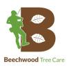 www.beechwoodtreecare.co.uk