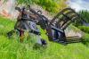 CastGroup WorkyQuads tracked Mini SkidSteers 